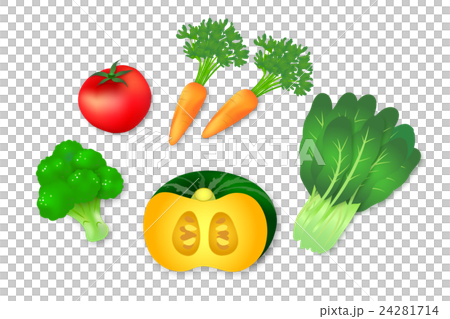 緑黄色野菜　カラフル　かわいい　イラスト 24281714