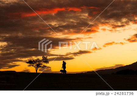 夕暮れの散歩 24281736