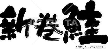 新巻鮭 24283318