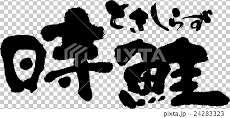 Time salmon 24283323