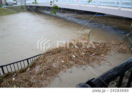 台風の大雨により上流から押し流された漂着ごみ 24283690