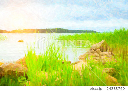 Green bulrush in a Bay of Finnish Gulf. camping 24283760