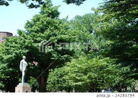 青空の下・東大工学部 24283794