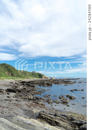 城ヶ島の海岸沿いの景色 5 24284560