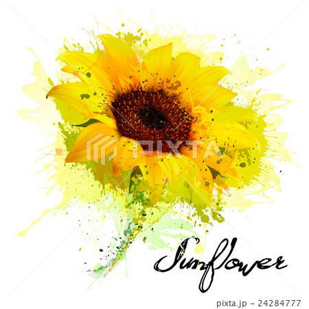 Abstract background with yellow sunflower. Vector 24284777