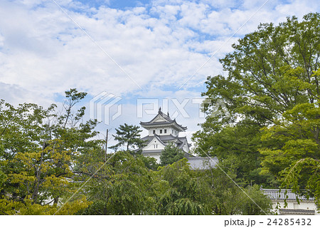 大垣城 大垣城 24285432