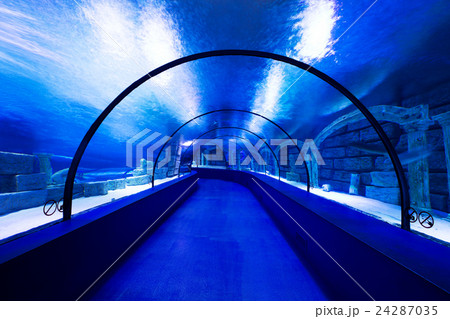 aquarium aquarium 24287035