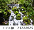 苔むす滝　槍沢にて 24288625