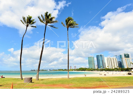 ハワイの休日 ハワイの休日 24289325