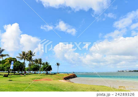 ハワイの休日 ハワイの休日 24289326