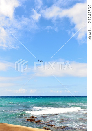 ハワイの休日 ハワイの休日 24289330