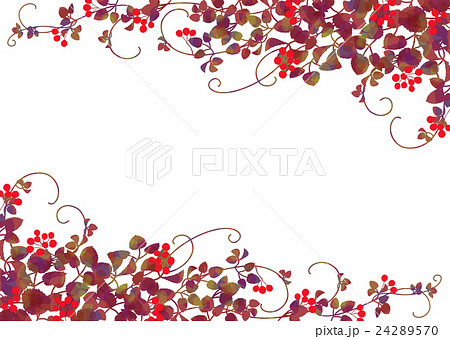 晩秋 つる植物 赤い実 背景のイラスト素材
