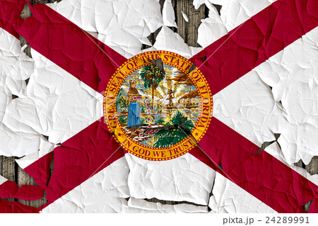 色 カラー 色彩 24289991