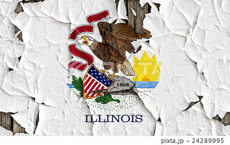 色 カラー 色彩 24289995