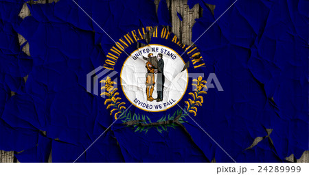 色 カラー 色彩 24289999