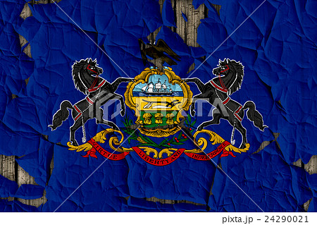 色 カラー 色彩 24290021