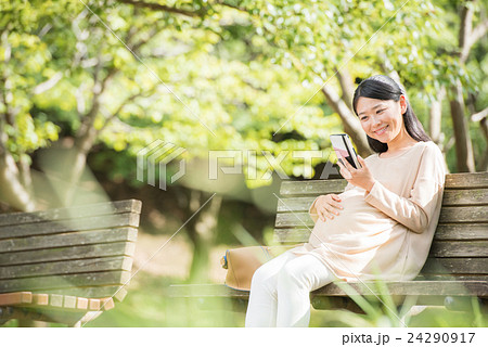 スマホを見る妊婦 スマホを見る妊婦 24290917