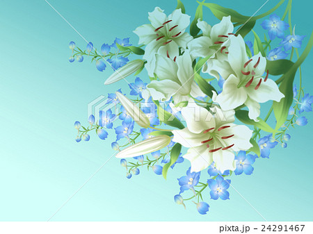 すべての花の画像 最高かつ最も包括的なカサブランカ 花 イラスト