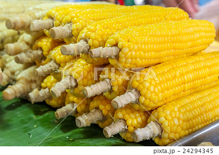 Beautiful boiled corn in market bangkok Thailand 24294345
