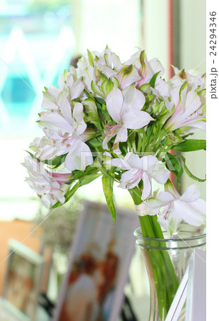 bouquet of white lilly flower in the jar 24294346