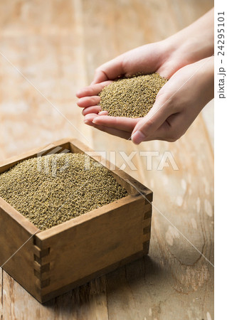 Various Grains, Seeds and Nuts Various Grains, Seeds and Nuts 24295101