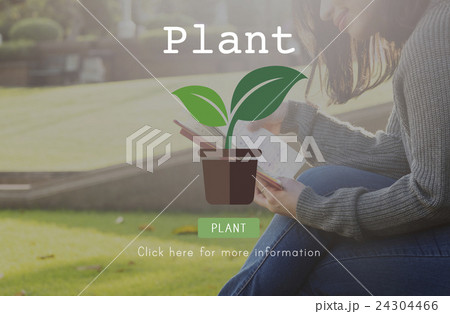 Plant Trees Ecology Environmental Conservation Growing Concept Plant Trees Ecology Environmental Conservation Growing Concept 24304466