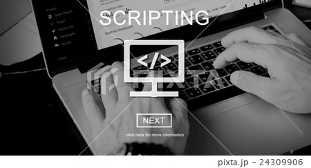 Scripting Coding Data Development Internet Concept Scripting Coding Data Development Internet Concept 24309906