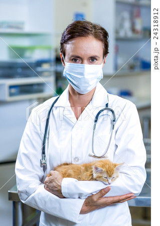 Woman vet holding a cute kitten in her arms 24318912