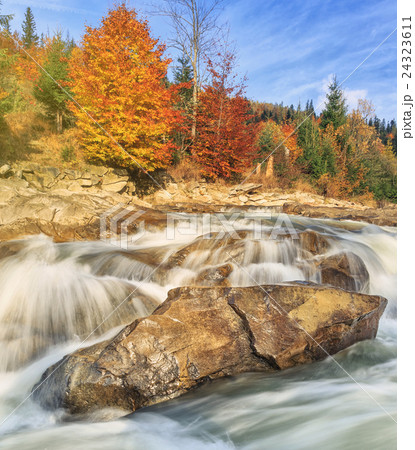 beautiful fast mountain river in autumn forest beautiful fast mountain river in autumn forest 24323611