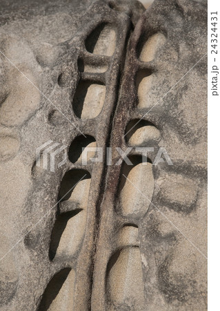 Siaoyeliou Siaoyeliou 24324431