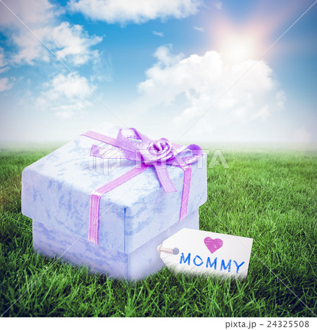 Composite image of mothers day greeting Composite image of mothers day greeting 24325508