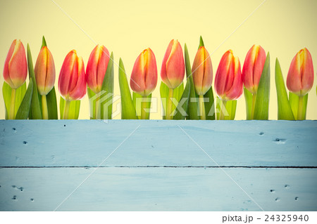 Composite image of tulip flowers 24325940