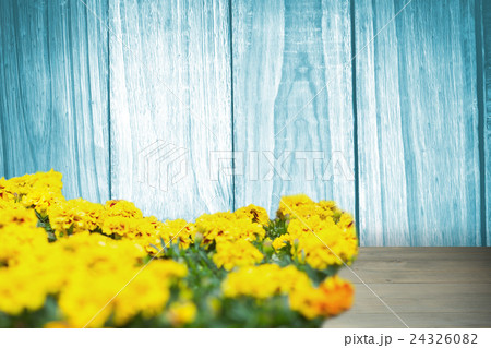 Composite image of yellow flowers Composite image of yellow flowers 24326082