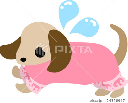 困り顔の可愛い犬とピンクのセーターのイラスト素材