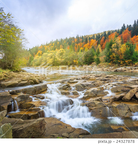 beautiful fast mountain river in autumn forest 24327878