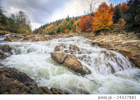 beautiful fast mountain river in autumn forest 24327881