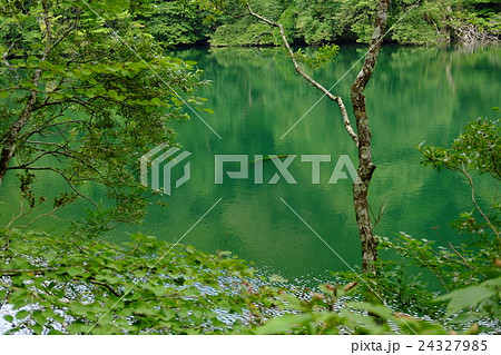 深緑の落口の池 24327985