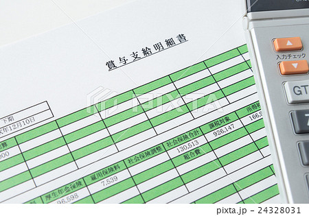 賞与　ボーナス　支給明細書　収入　家計 24328031