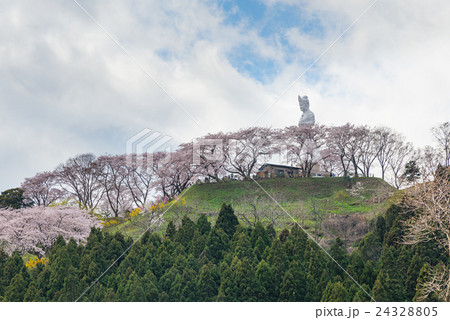 The Kannon statue and full bloom Cherry blossoms. The Kannon statue and full bloom Cherry blossoms. 24328805