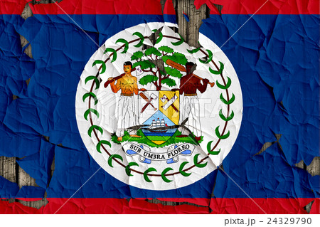 色 カラー 色彩 24329790