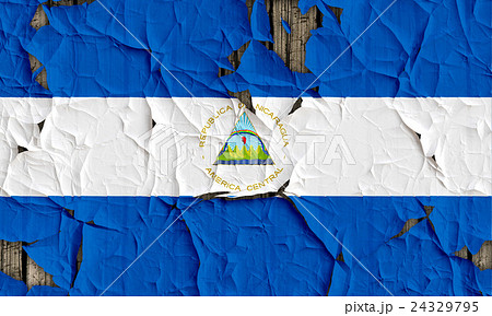 色 カラー 色彩 24329795