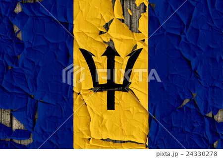 色 カラー 色彩 24330278