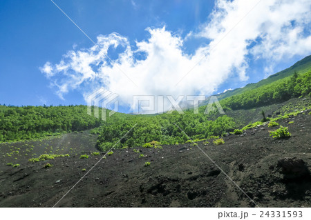 富士山からの眺め 24331593