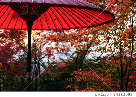 竈門神社 紅葉 竈門神社 紅葉 24333092