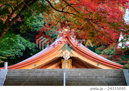 竈門神社　紅葉 24333095