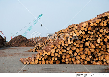 港の貯木場 24333839