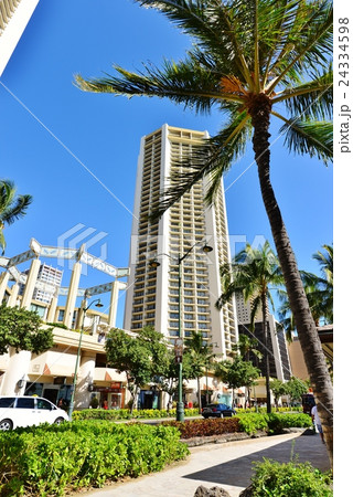 ハワイの休日 24334598