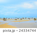 Silent Sea 24334744