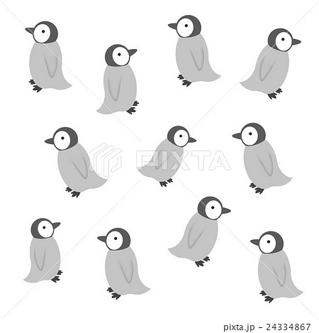 ペンギンのヒナのイラスト素材 24334867 Pixta