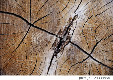 wood texture, grunge, cracked, high-resolution wood texture, grunge, cracked, high-resolution 24334950